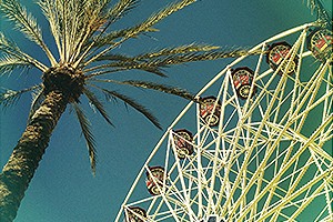 A palm tree and ferris wheel