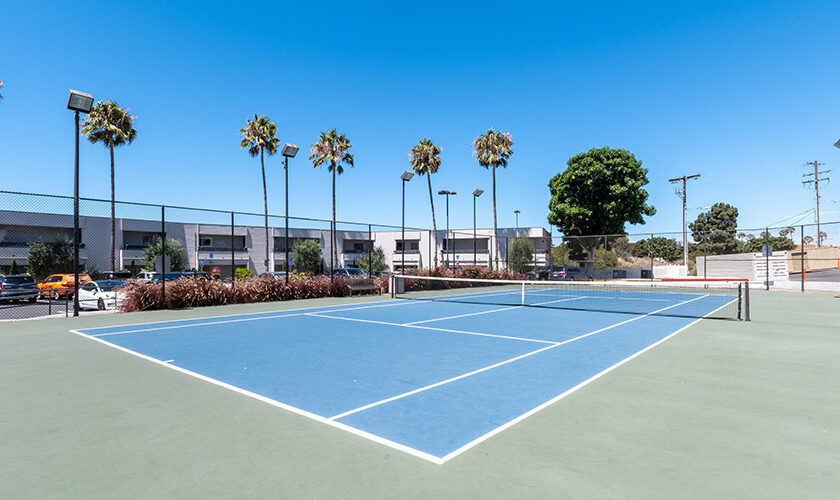Tennis court and palm trees