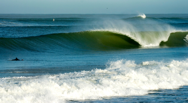 surfer and wave