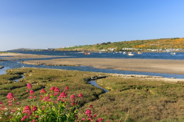 ocean in newport beach back bay loop
