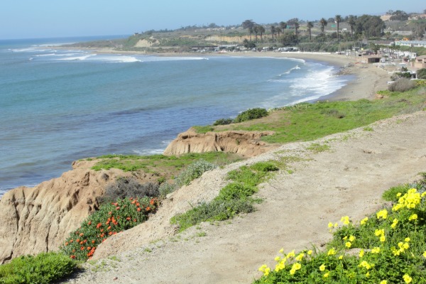 surfing at trestles beach